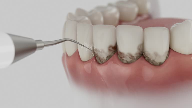 Reliable Dental contractor in Bogalusa, LA by Dentist Open Now